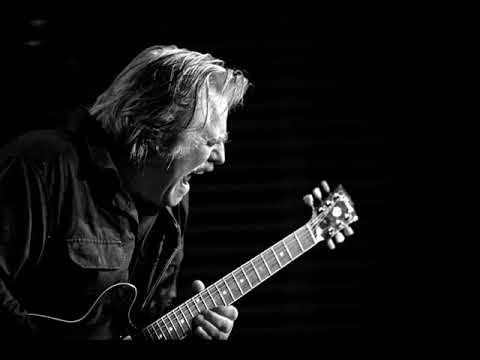 Fallna Änglar - Rolf Wikström