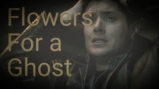 Dean Winchester/ Flowers For a Ghost (Thriving Ivory)