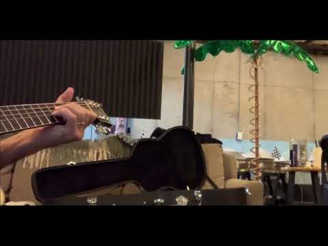 Ibanez Fingerstyle Series ACFS580 - Andy Most