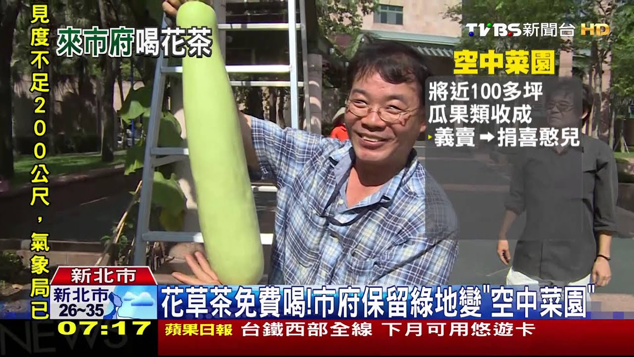 市府頂樓變農田! 洽公民眾免費喝花草茶