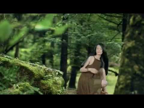 Centaine Shampoo - Veggie Nutrition Natural - WE Marketing Group