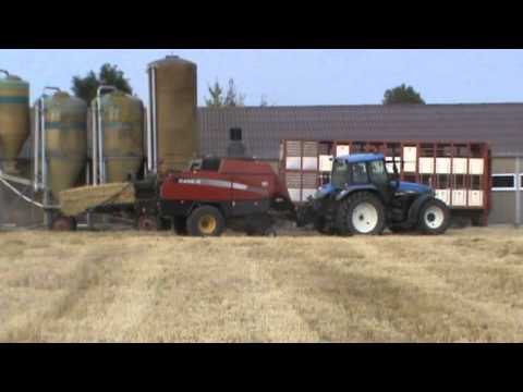 Loonw. Verhaeghe - Pervijze