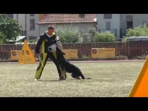 Extreme Orex Aykmar x Marek Cerny PROTECTION 95 Czech Championship GSD
