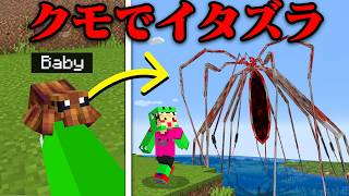 『巨大クモ』で友達にイタズラしたみたw【まいくら・マインクラフト】