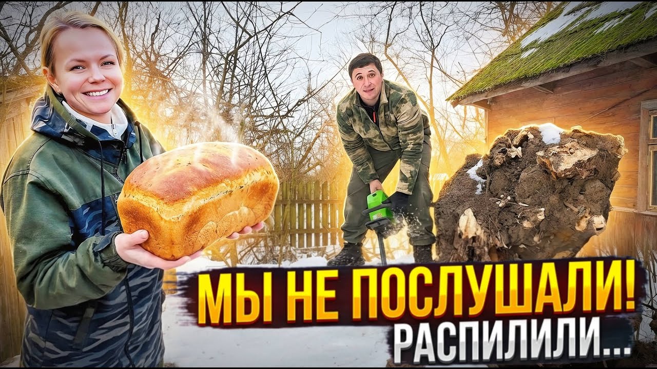 ЧТО СЛУЧИЛОСЬ НА ЛИПОВОМ ХУТОРЕ: ДОМАШНИЙ ХЛЕБ, РАСПИЛИЛИ ДЕРЕВО И РЕМОНТ ПО?
