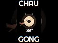 Evolution of the Chau Gong
