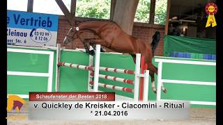 Video of Quickly de Ciaco
