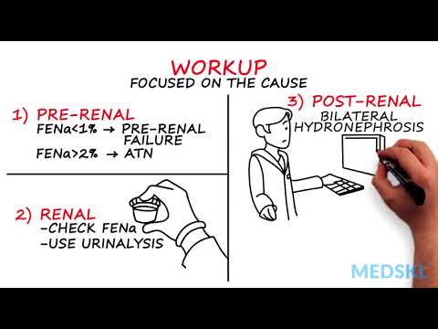 Acute Renal Failure: How to approach ARF in 4 minutes with Robert Bell M.D.