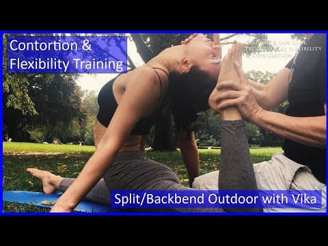 86 Flexyart Contortion Training: Split/Back Combo  - Also for Yoga, Pole, Ballet, Dance People
