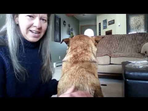 Location of GV14 and Bl17