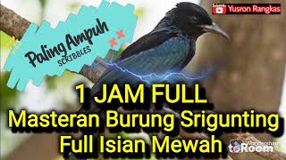 Download lagu Masteran burung Srigunting full Isian Mewah. mp3