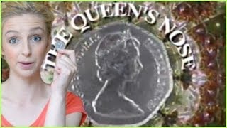 90's Nostalgia : The Queens Nose (1995)