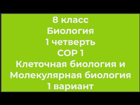 8 класс Биология 1 четверть СОР 1 Клеточная биология и Молекулярная биология 1 вариант