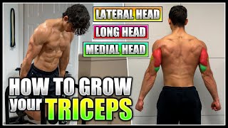 How to Grow your TRICEPS | Best Exercises & Training Tips!