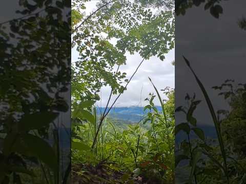 um lugar incrível cerra do pacoti Ceará #shots