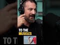 Mind Your Workouts How Overtraining Can Affect Your Brain Function Andrew Huberman