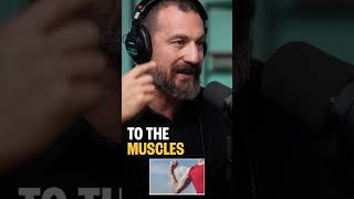 Mind your workouts: How overtraining can affect your brain function | Andrew Huberman