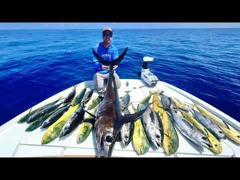 Florida Keys Fishing FRENZY! Why we live here! (Tuna Poke)