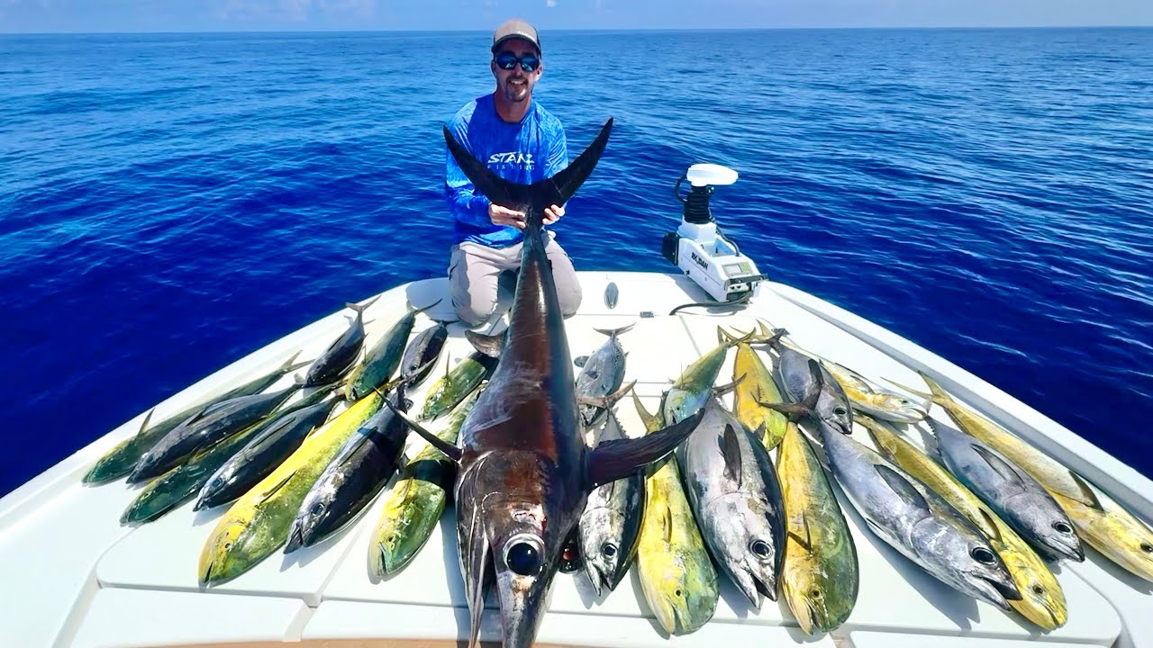 Florida Keys Fishing FRENZY! Why we live here! (Tuna Poke)