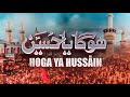 Hoga Ya Hussain Slowed Reverb | Nadeem Sarwar | 2023 /  1445
