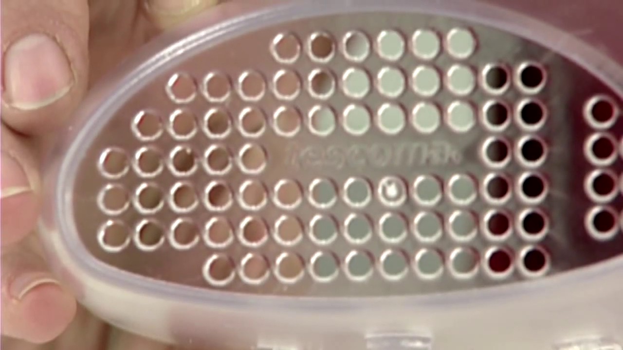 Pojemnik na gąbkę mocowany wewnątrz zlewu | TESCOMA CLEANKIT | kuchnianawidelcu.pl ❤