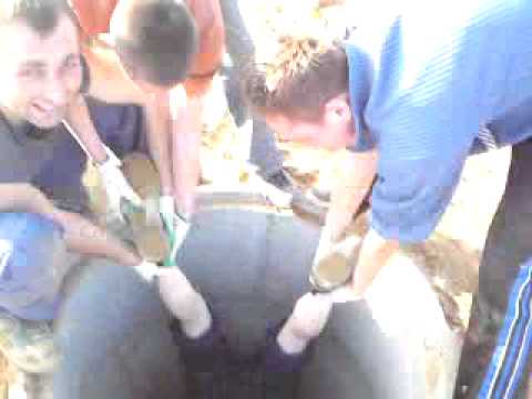 zygry murarz tynkarz akrobata