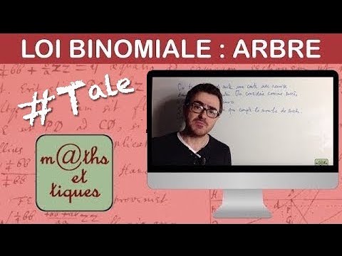 Calculate a probability using a tree (binomial distribution) - Terminale