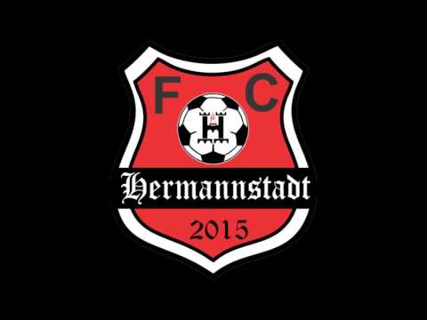 FC Hermannstadt vs ACF Metalurgistul Cugir