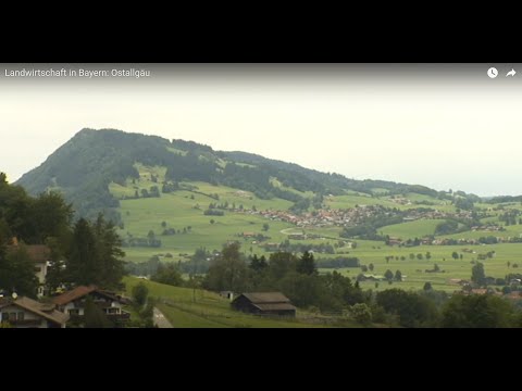 Landwirtschaft in Bayern: Ostallgäu