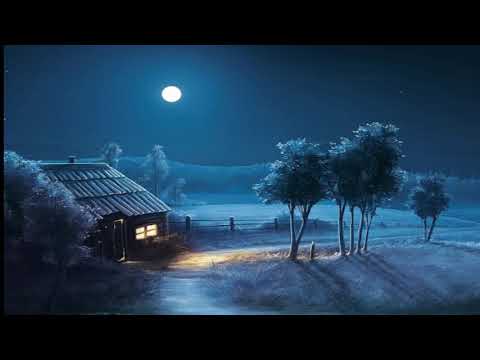 Sonidos de Grillos Relajante Para Dormir En 5 minutos  SUEÑO PROFUNDO