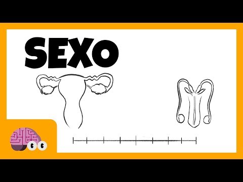 O que determina o sexo biológico de alguém?