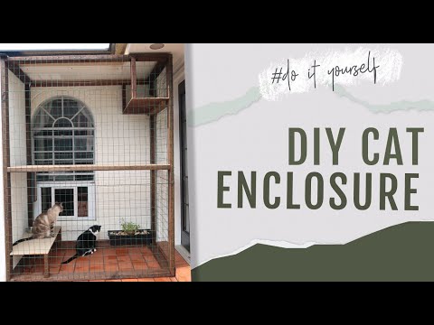 DIY Cat Enclosure | Outdoor Cat House Tree with Perch Shelves *EASY TO MAKE*