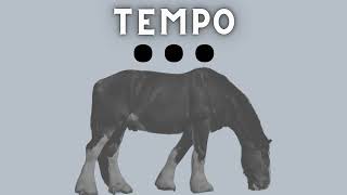 TESTE DE INTUIÇÃO #1