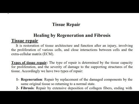pathology (tissue repair lec8+9) part 1 امراض عامة طب اسنان مرحلة ثالثة شرح