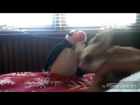 Tom the Hand 1x08: Valentine's Day (2017) - Lucy punches Robert