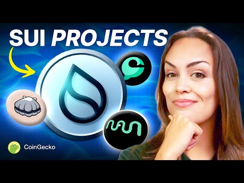 TOP Sui Projects to Watch in 2024! (Navi, Cetus, Abyss World)