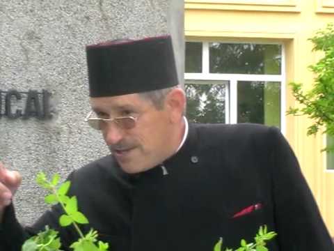 07 ZIUA EROILOR GIMNAZIUL GHEORGHE SINCAI 28 MAI 2009