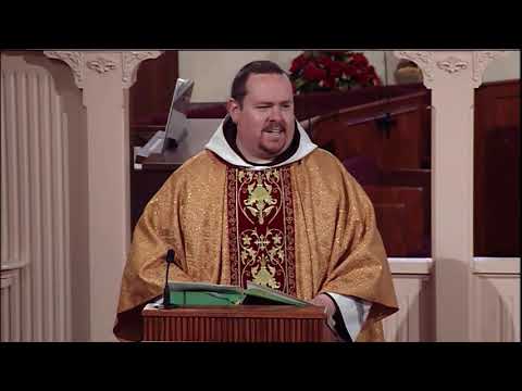 Lecturas y homilía - 2020-12-29 - El P. Matthew