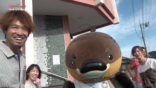 2025/11/6放送・知ったかぶりカイツブリにゅーす