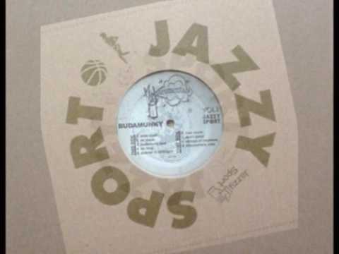 budamunky - budamunk funk (instrumental)