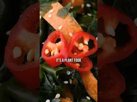 If You Have An Autoimmune Condition, Watch This! 👉