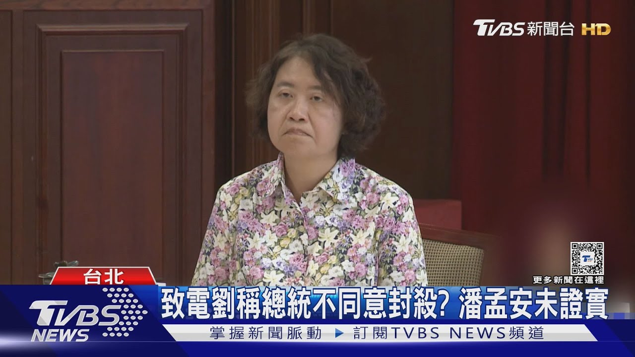 怒被綠委封殺! 劉靜怡:總統若沒同意就澄清