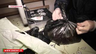 Крупная партия «спайса» для полицейских