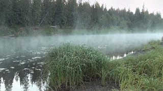 Рыбалка в афанасьево кировской области