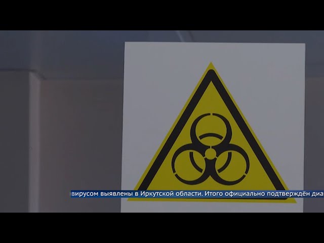 Четыре случая за сутки