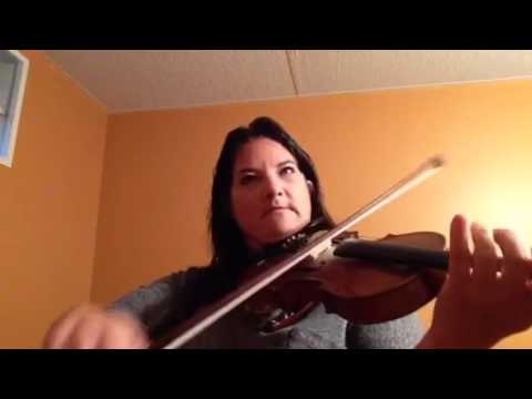 Day 243 - Captain Keeler Reel - Patti Kusturok's 365 Days of Fiddle Tunes