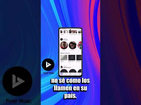 cómo funciona Fyzer Music