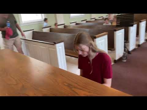 Hazel—Giraffe （Piano and Organ )