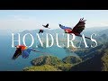 Honduras Travel Video | WANDR (Roatan, Copan, Lake Yojoa, Macaws, And MORE...)