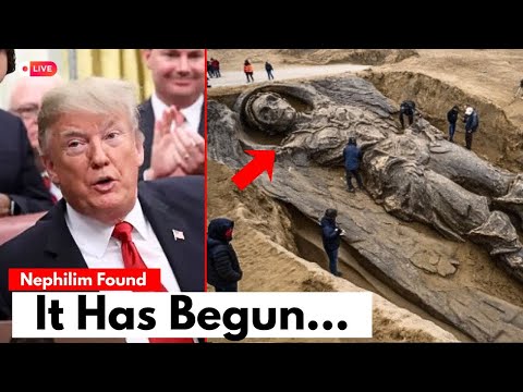 „Gott nannte sie Wächter“ – Wir haben endlich den physischen Beweis für ihre Anwesenheit gefunden...